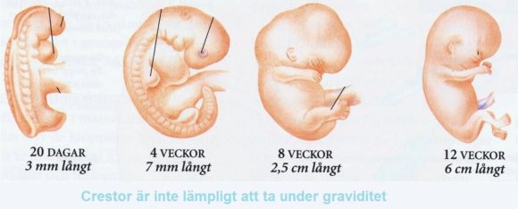 Crestor och graviditet